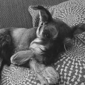 Meet your Posher, Scott